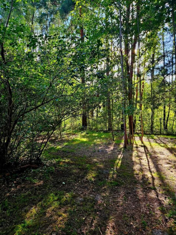 Działka budowlana Duchnów, ul. Strumykowa. Zdjęcie 5