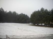 Działka rekreacyjna Izdebno. Zdjęcie 4