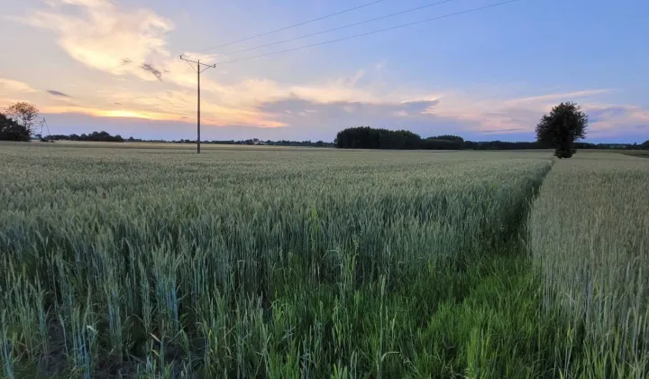 Działka rolno-budowlana Krzyżanowice