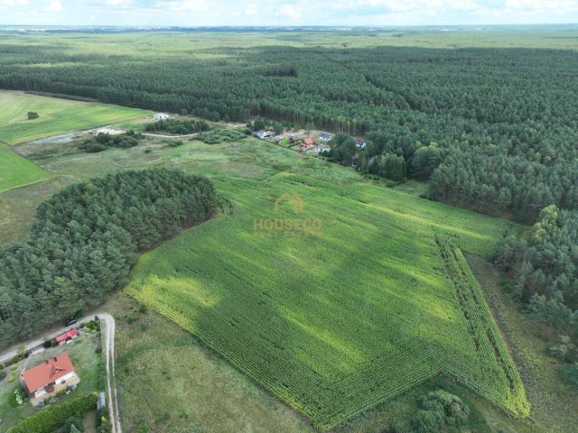Działka siedliskowa Ocypel. Zdjęcie 9