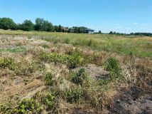 Działka budowlana Michałowice-Wieś, ul. Kasztanowa. Zdjęcie 1