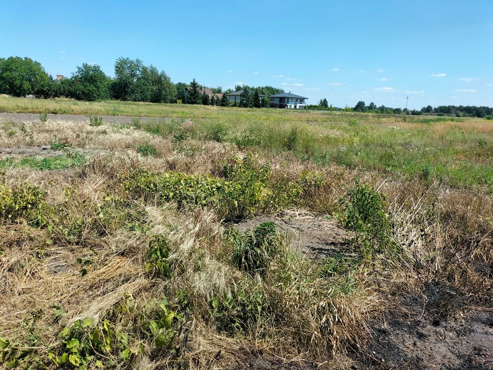 Działka budowlana Michałowice-Wieś, ul. Kasztanowa. Zdjęcie 2