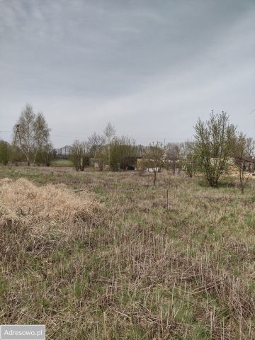 Działka budowlana Wróblew. Zdjęcie 1