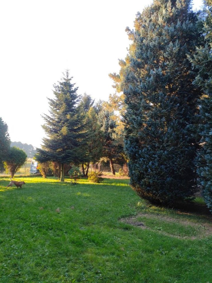 Działka rod Kotliny. Zdjęcie 2