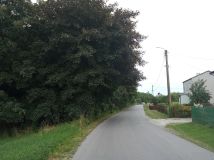 Działka rolno-budowlana Sienno