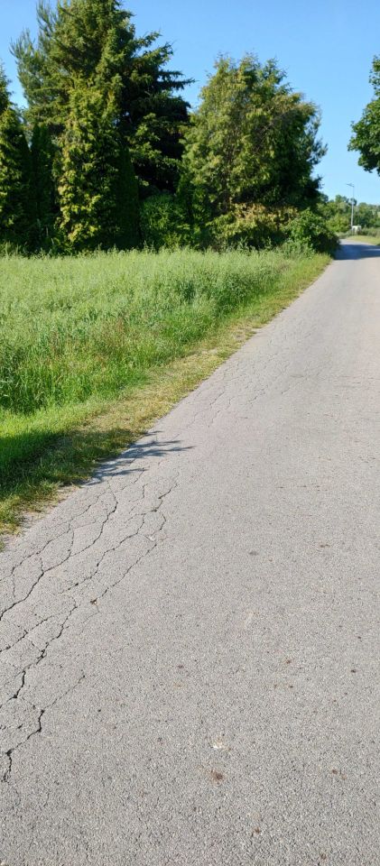 Działka rolno-budowlana Januszowice. Zdjęcie 2