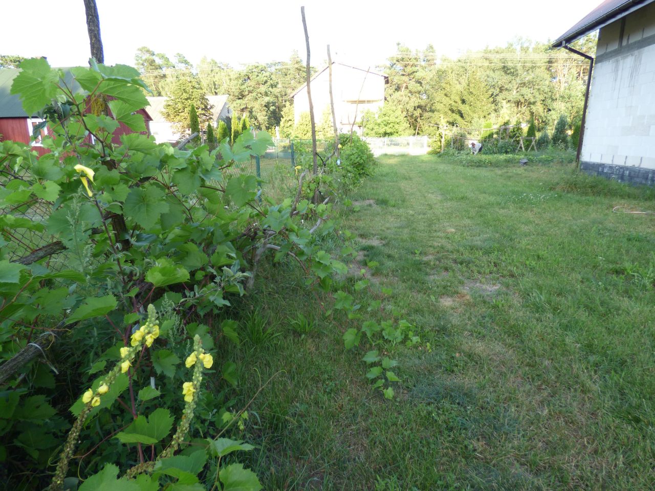 dom wolnostojący, 3 pokoje Górki Grubaki. Zdjęcie 15