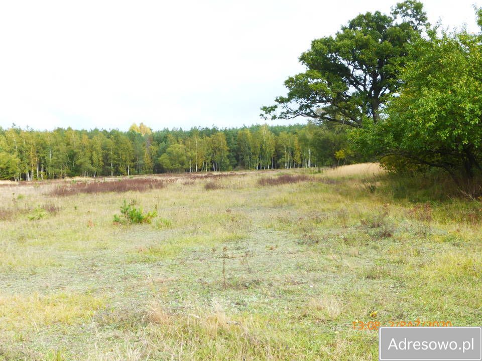 Działka rolna Cegielnia. Zdjęcie 5