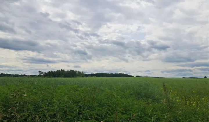 Działka rolna Karnków