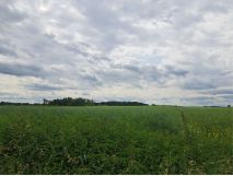 Działka rolna Karnków