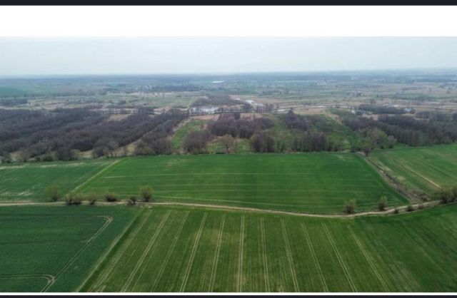 Działka rolna Grabowo, ul. Farmerska. Zdjęcie 1