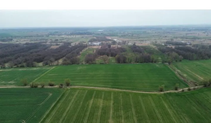 Działka rolna Grabowo, ul. Farmerska