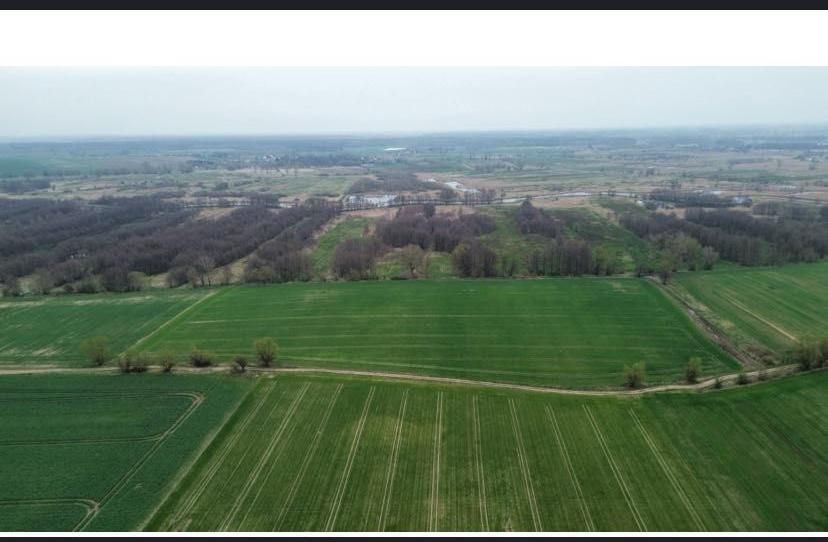 Działka rolna Grabowo, ul. Farmerska