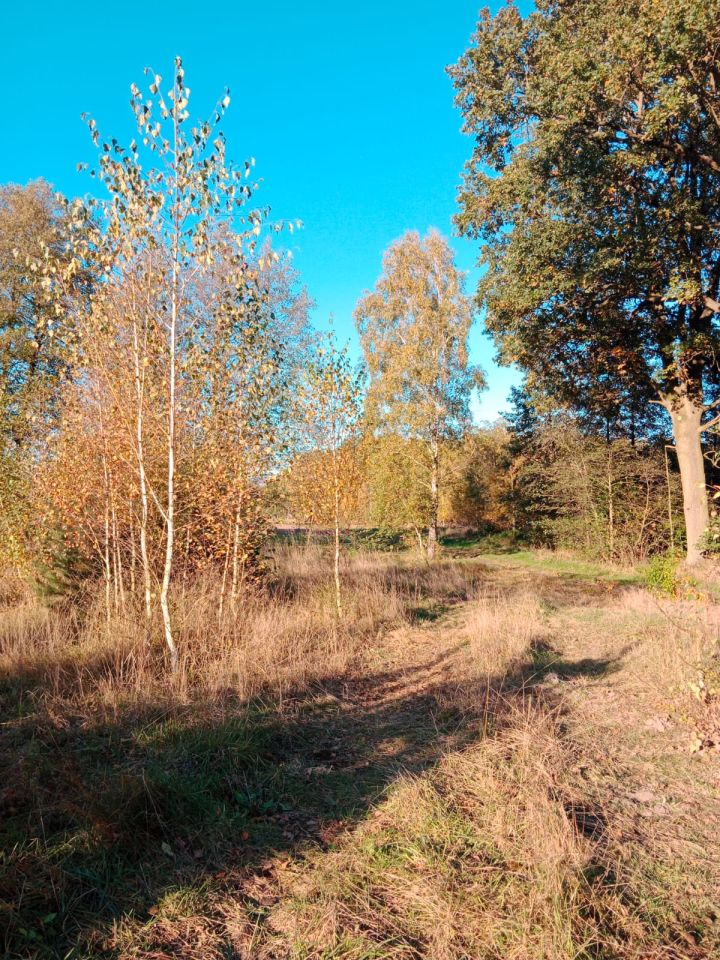 Działka budowlana Bogusławki. Zdjęcie 3