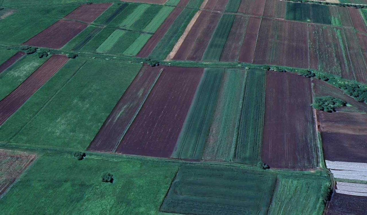 Działka rolna Kobylniki. Zdjęcie 2