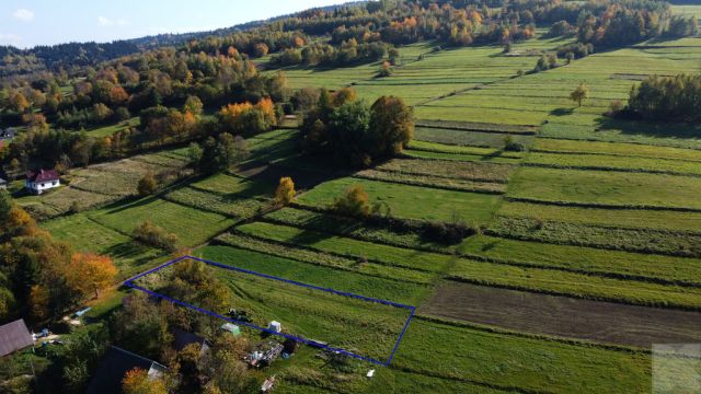 Działka budowlana Skomielna Czarna. Zdjęcie 2