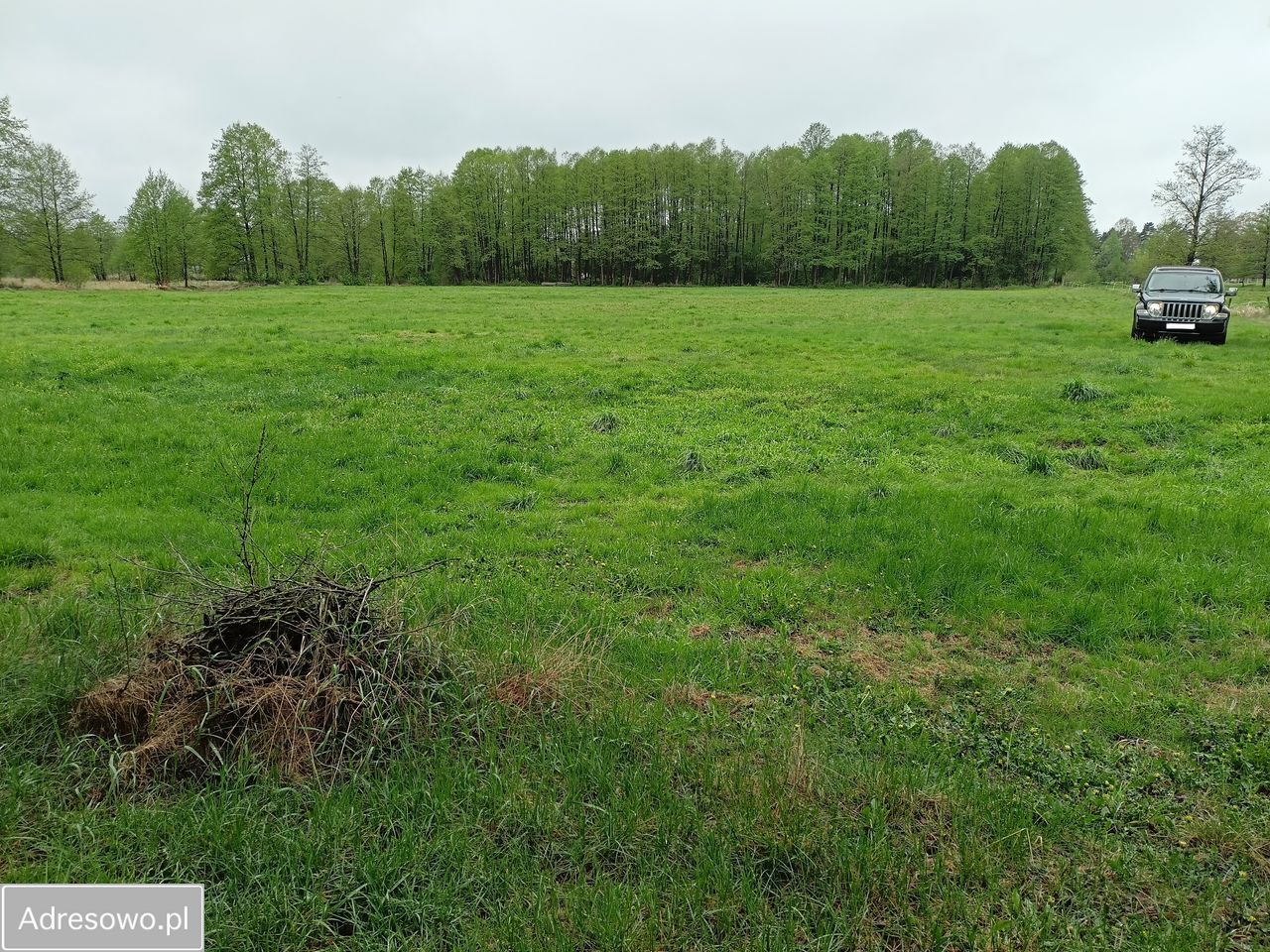 Działka rolna Popiołki. Zdjęcie 4