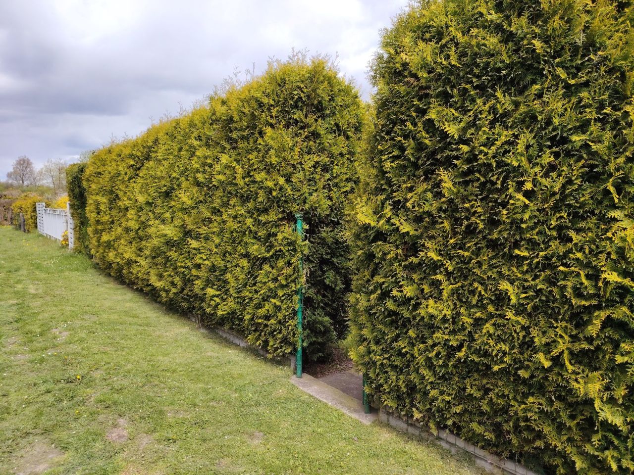 Działka rod Balin. Zdjęcie 7