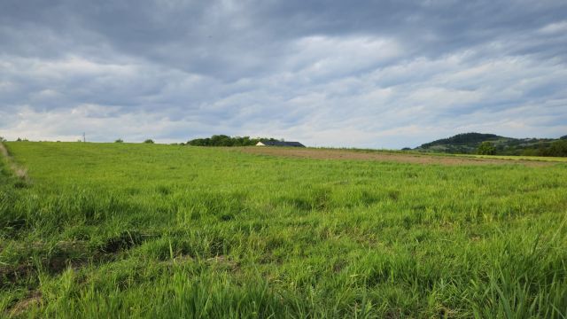 Działka budowlana Bażanowice, ul. Stroma. Zdjęcie 1