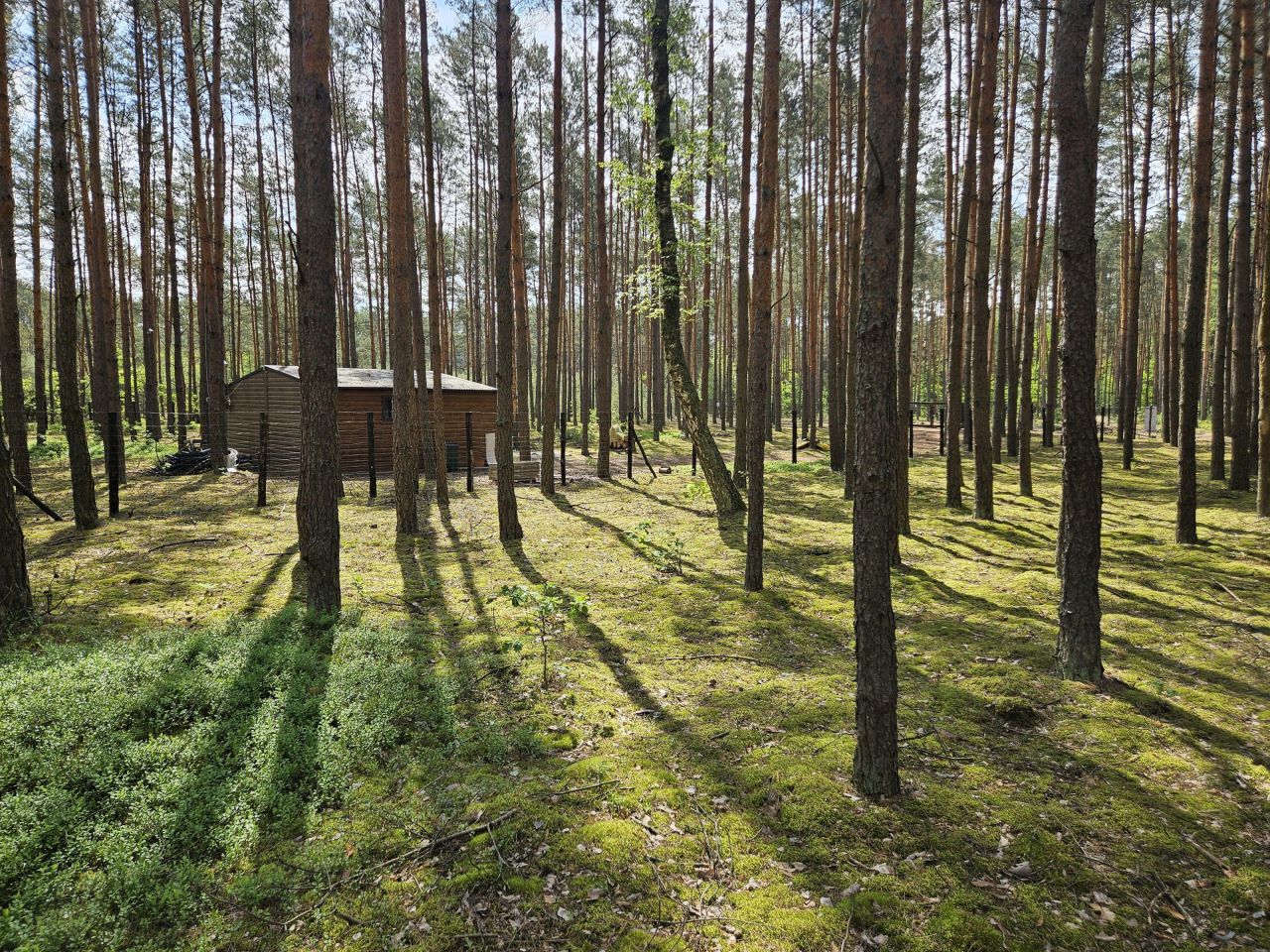 Działka budowlana Choszczowe, ul. Bukowa. Zdjęcie 7