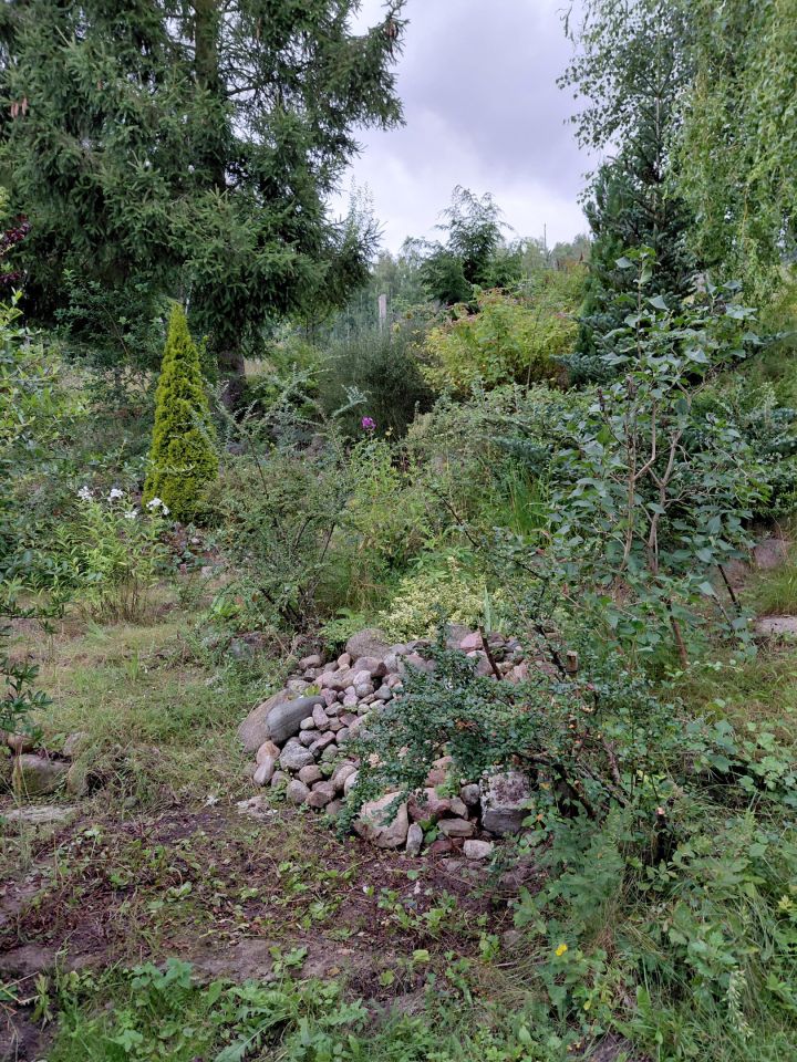 dom wolnostojący, 4 pokoje Sierpowo. Zdjęcie 18