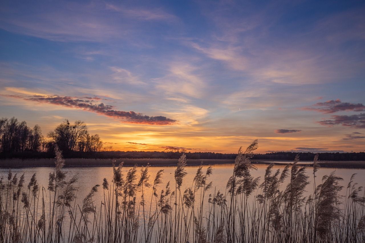 Nieruchomość komercyjna Koszalin Jamno, ul. Róży Wiatrów. Zdjęcie 20
