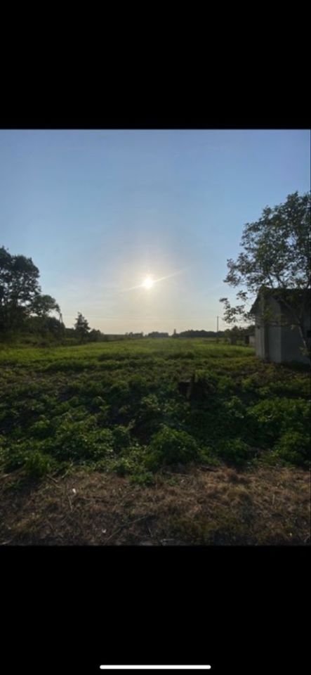 Działka siedliskowa Wełnin Kopanina. Zdjęcie 4