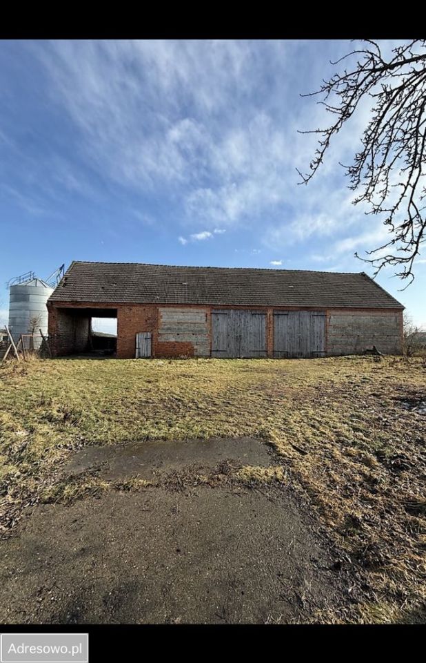 gospodarstwo, 10 pokoi Bychowo. Zdjęcie 16