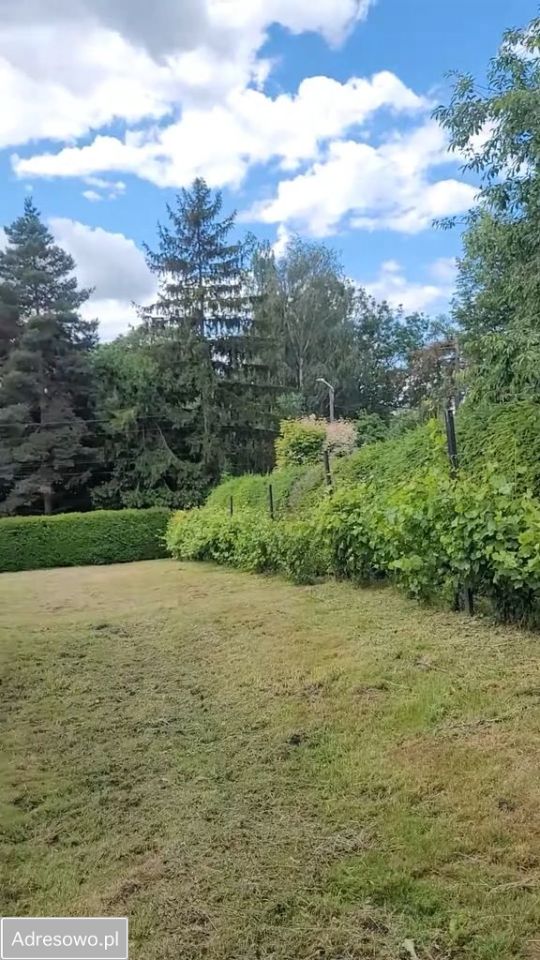 gospodarstwo Rudziczka. Zdjęcie 8