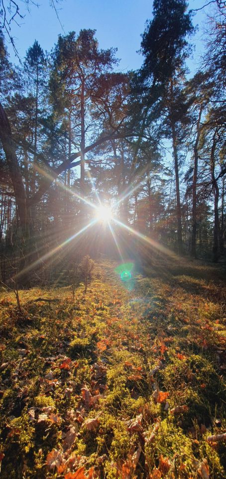 Działka budowlana Arciechów, ul. Jemiołuszki. Zdjęcie 7