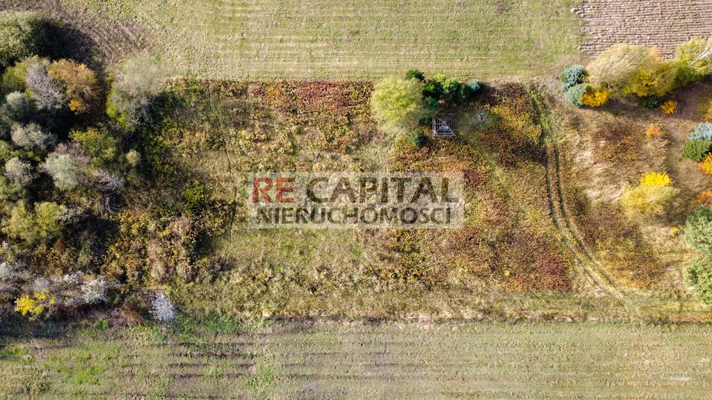 Działka budowlana Borzęcin Duży. Zdjęcie 3