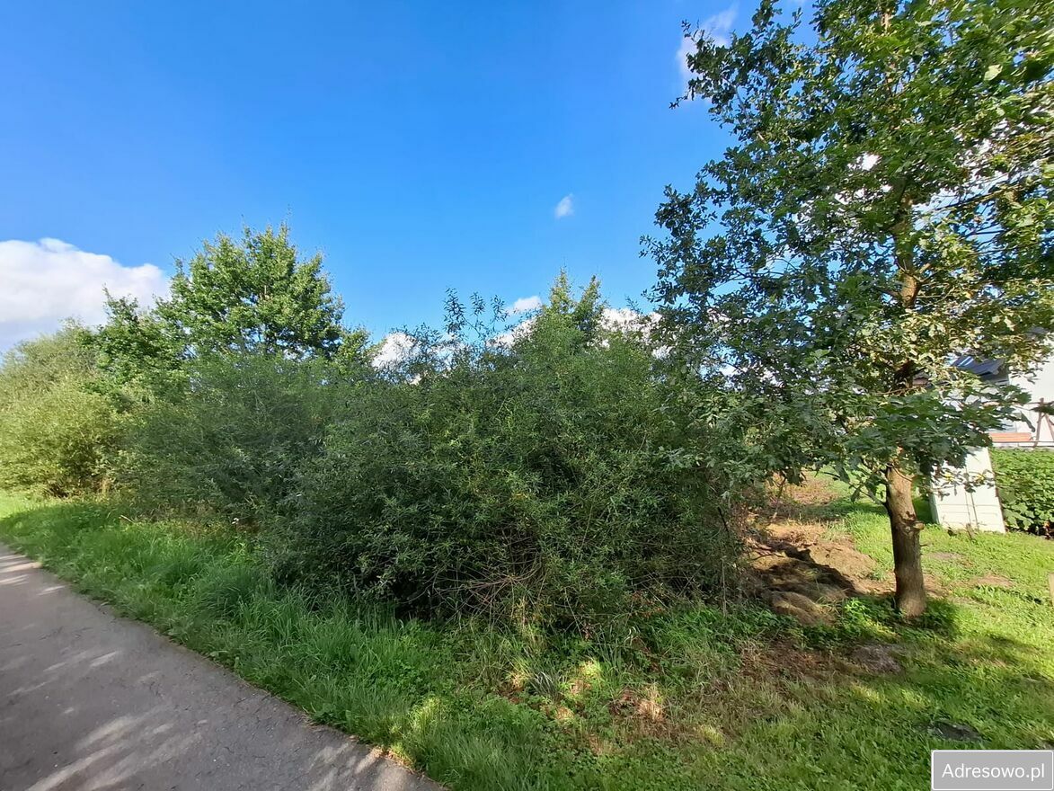 Działka budowlana Rudy-Rysie. Zdjęcie 4