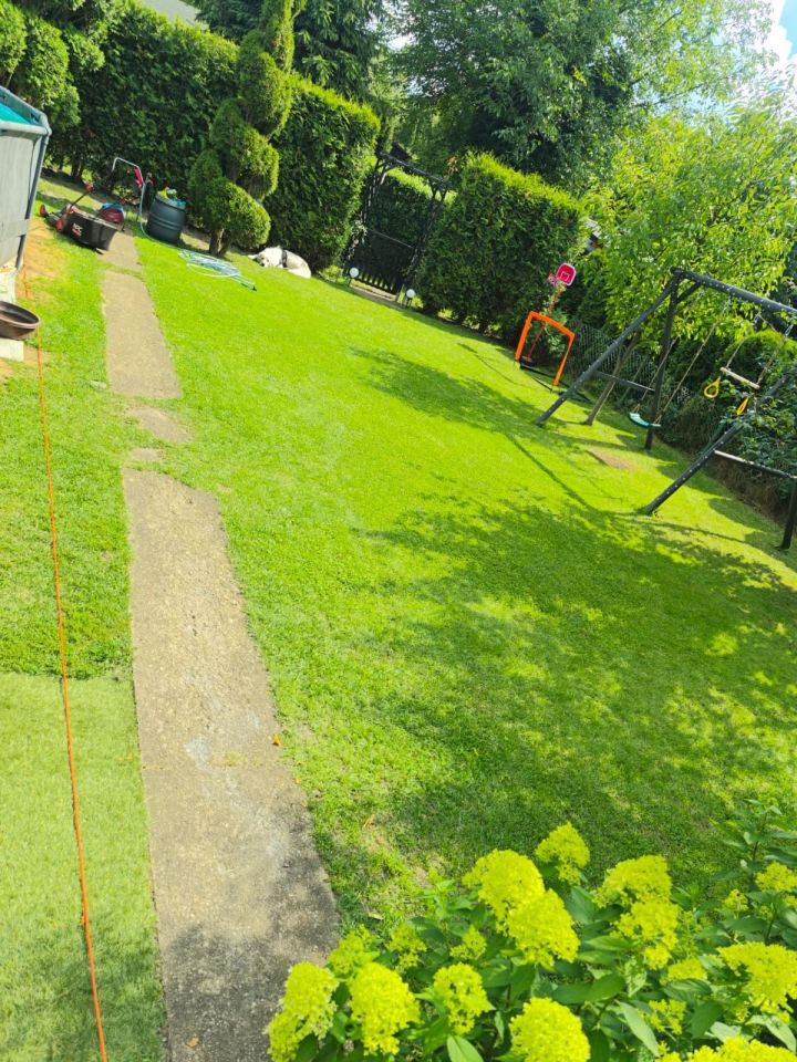 Działka rod Tomaszów Mazowiecki Wilanów. Zdjęcie 2