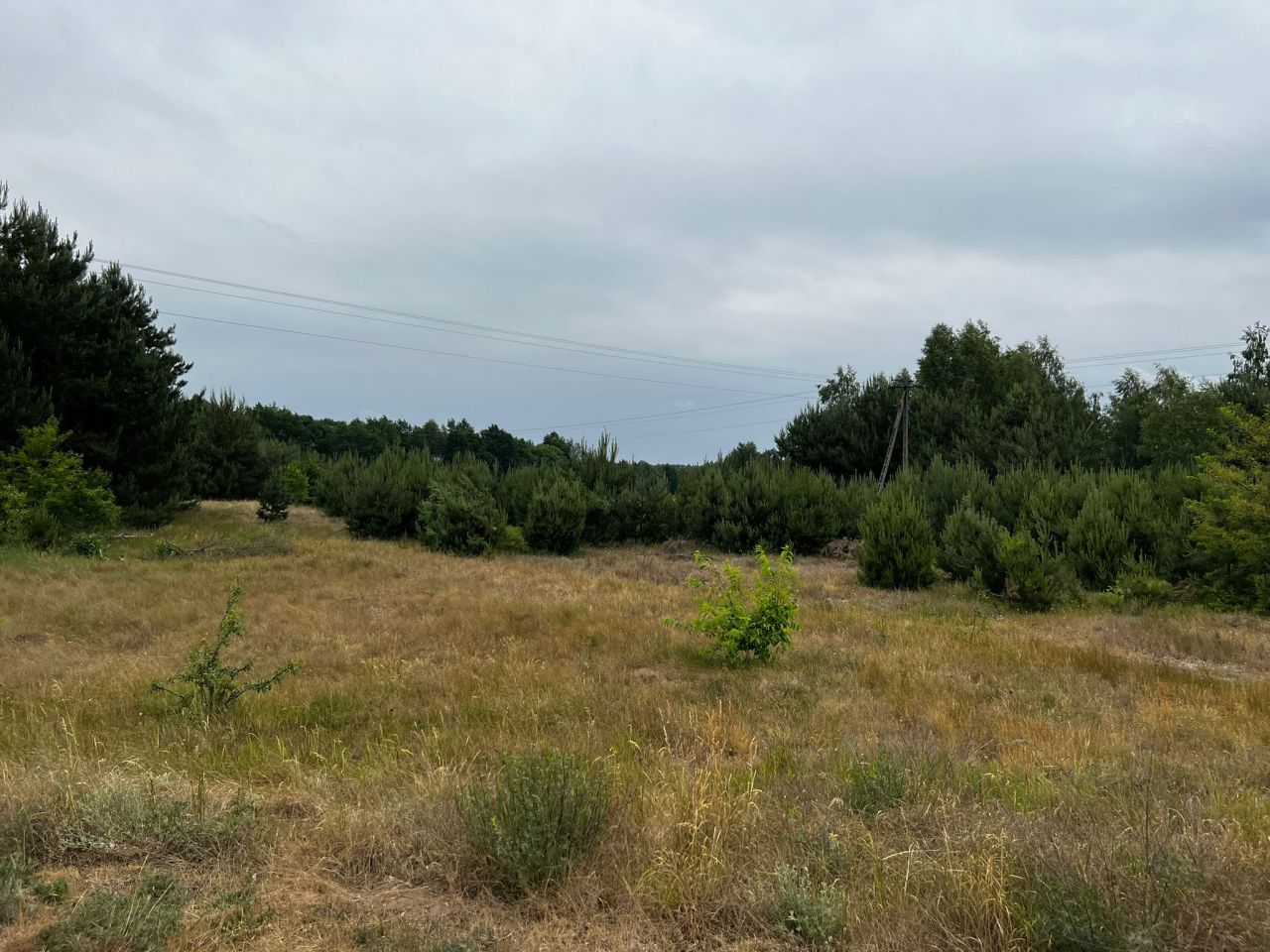 Działka budowlana Łąkie, Łąkie. Zdjęcie 4