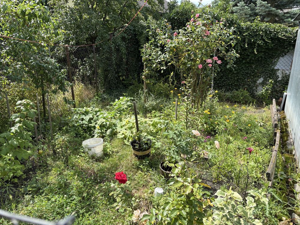 Mieszkanie 1-pokojowe Buk. Zdjęcie 8