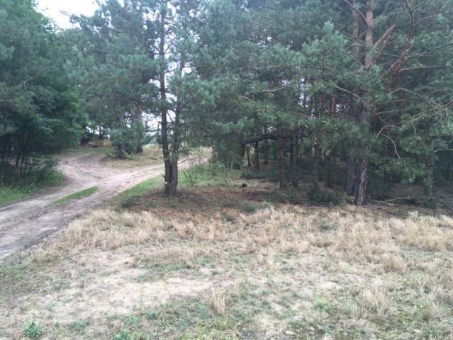 Działka rolno-budowlana Choszczowe. Zdjęcie 1