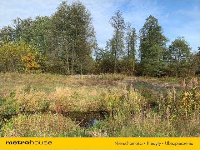 Działka budowlana Bronisławów. Zdjęcie 1