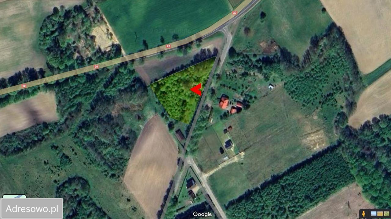 Działka inwestycyjna Silnowo. Zdjęcie 3
