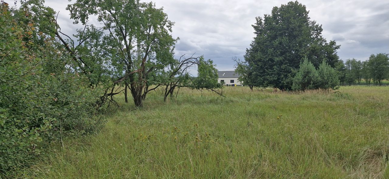 Działka budowlana Grodzisk Wielkopolski. Zdjęcie 6