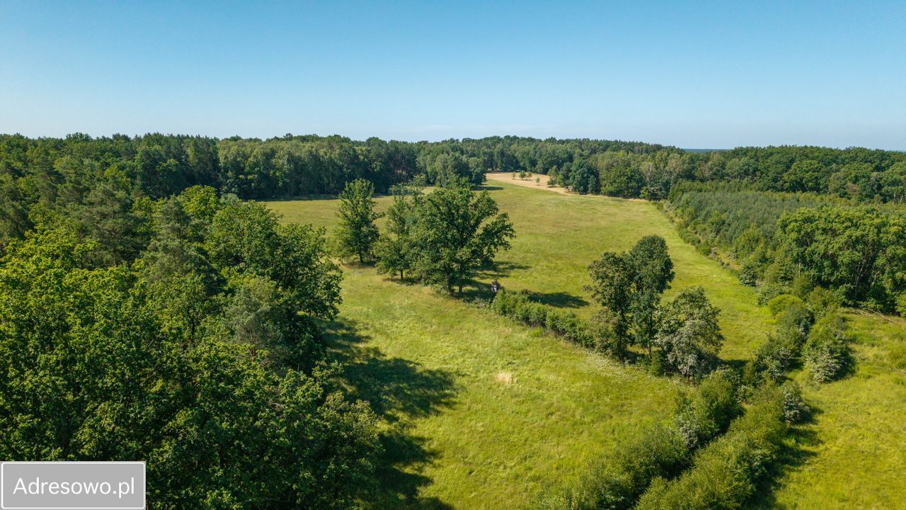 Działka rolna Dobrochów. Zdjęcie 10