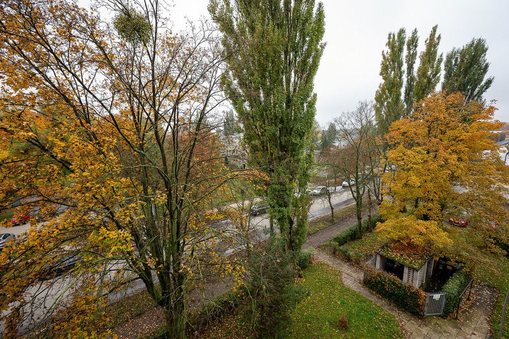 Mieszkanie 2-pokojowe Łódź, ul. Zielona. Zdjęcie 9