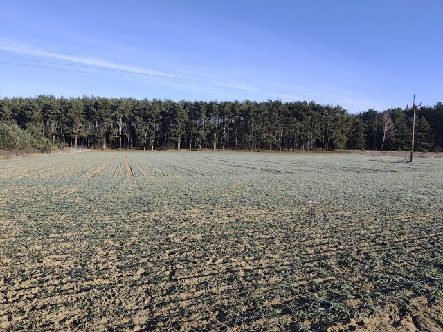 Działka budowlana Dzikowo Chrapy, ul. Nadwiślańska. Zdjęcie 1