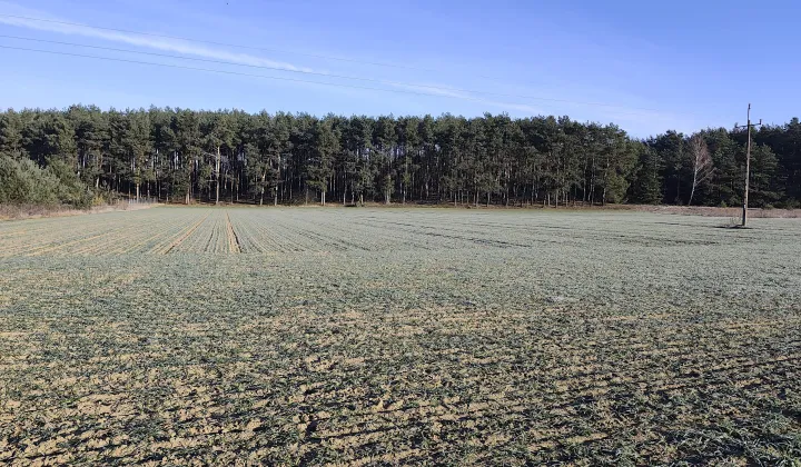 Działka budowlana Dzikowo Chrapy, ul. Nadwiślańska