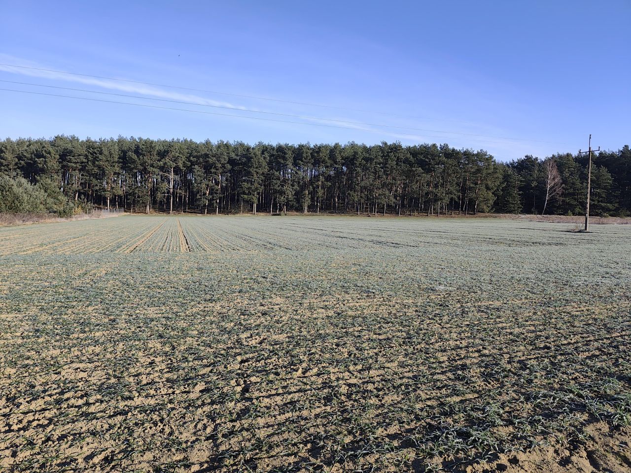 Działka budowlana Dzikowo Chrapy, ul. Nadwiślańska. Zdjęcie 1