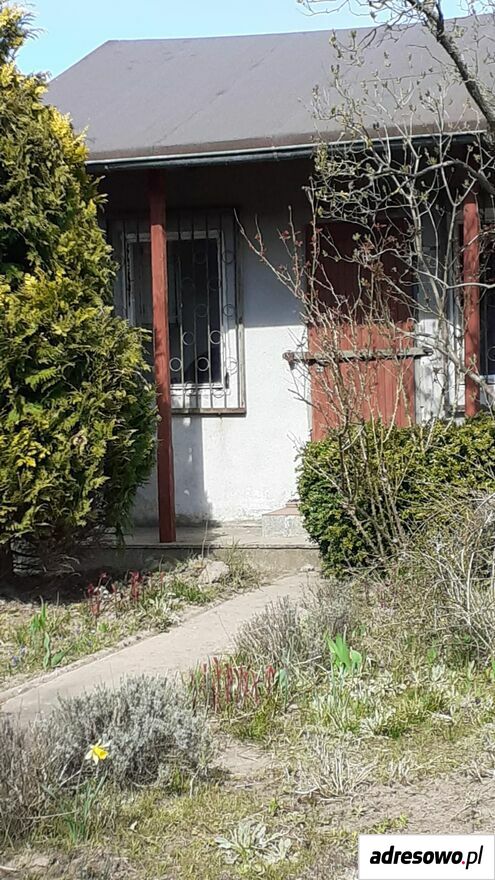 Działka rod Szczecin. Zdjęcie 3