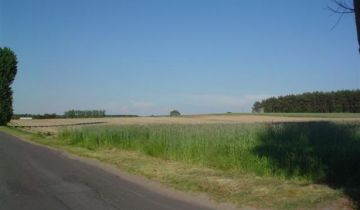 Działka inwestycyjna Chludowo