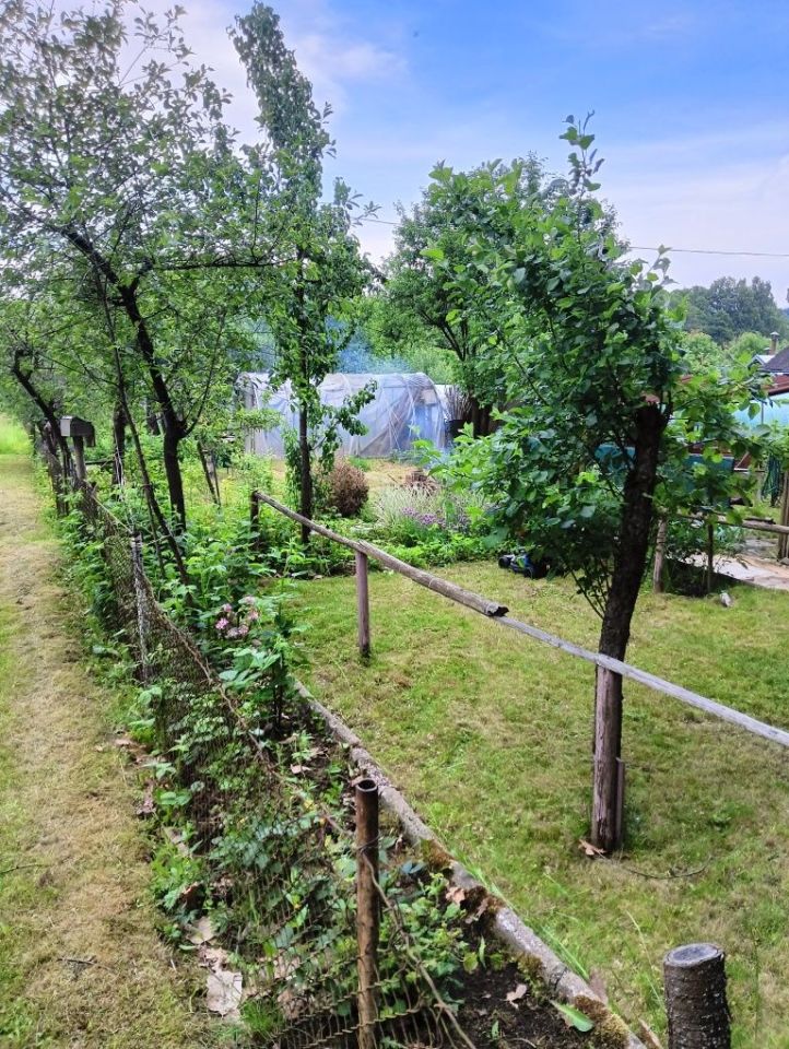 Działka rod Polanica-Zdrój. Zdjęcie 7