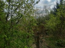 Działka rolno-budowlana Majdan Wielki. Zdjęcie 3