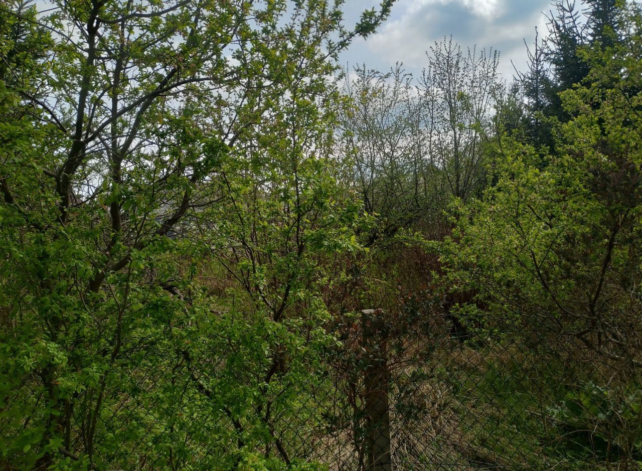 Działka rolno-budowlana Majdan Wielki. Zdjęcie 4