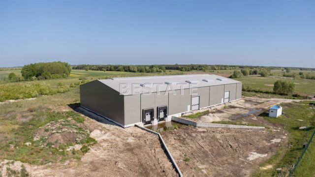 Hala/magazyn Tuszów Narodowy. Zdjęcie 8